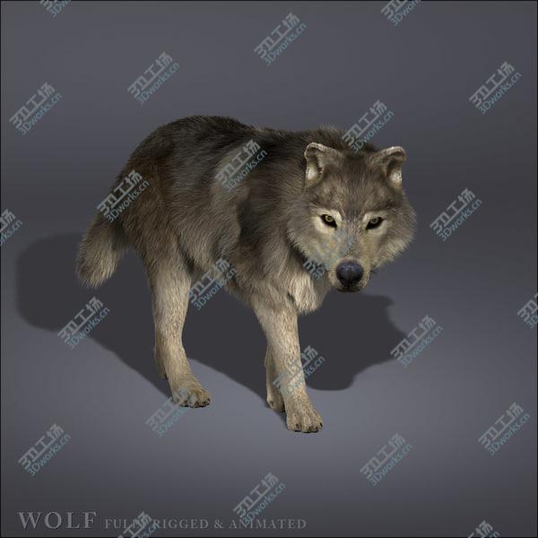 images/goods_img/20210312/Wolf  FUR ANIMATED/2.jpg